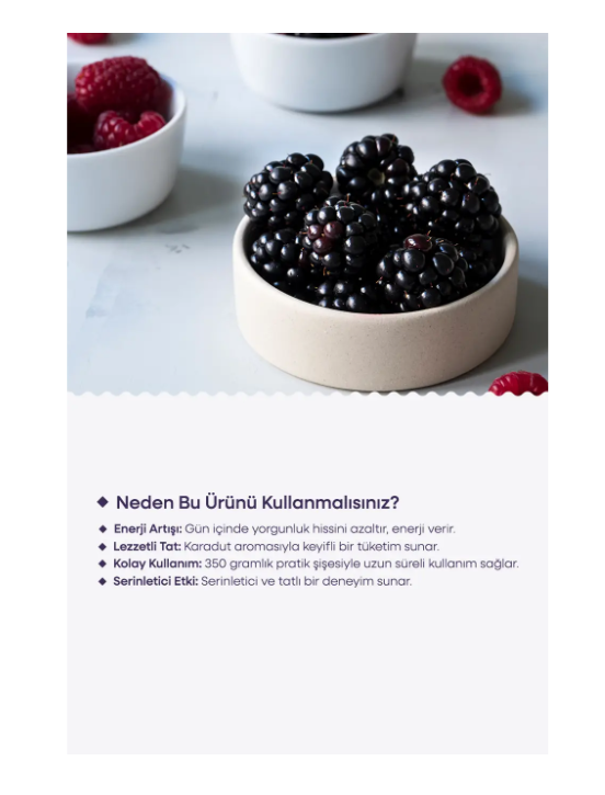 HERBAMİNA Karadut Aromalı Şurup 350 gram